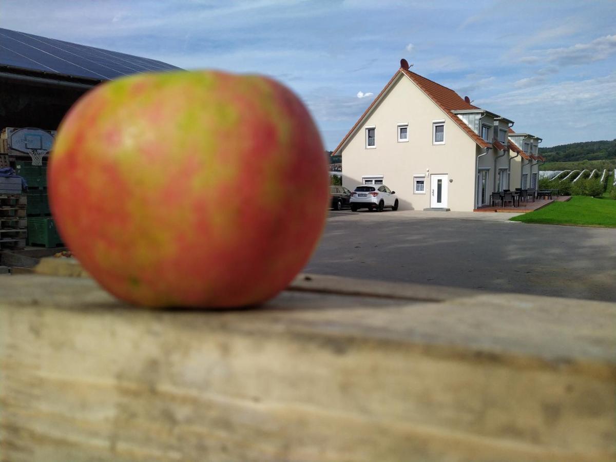 Ferienhof Dachsberg Wohnung Sundowner Bermatingen Extérieur photo